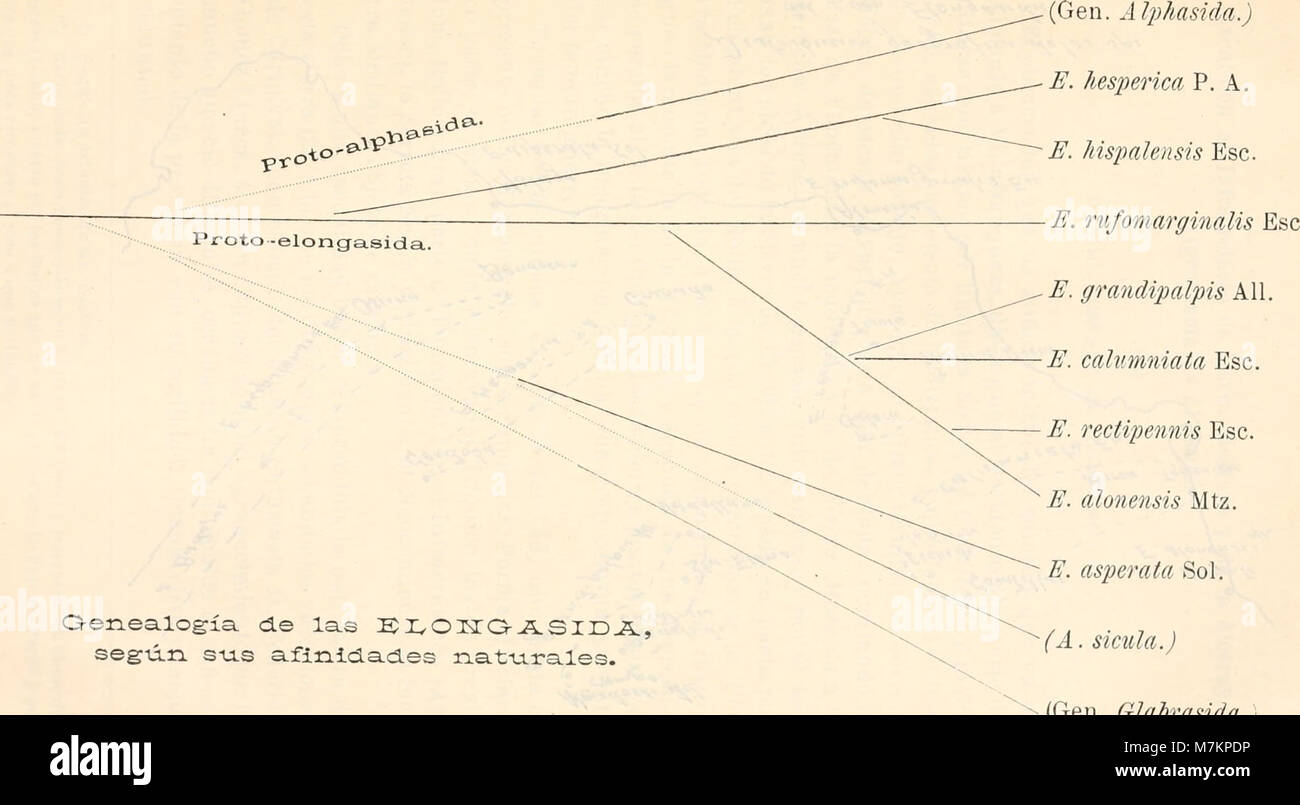 Boletín de la Sociedad Española de Historia Natural (1906) (20201930449) Stock Photo