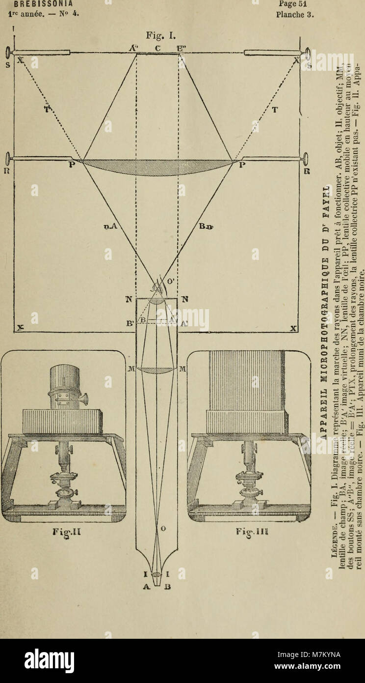 Brebissonia, revue mensuelle illustrée de botanique cryptogamique et d'anatomie végétale (1879) (19785234734) Stock Photo