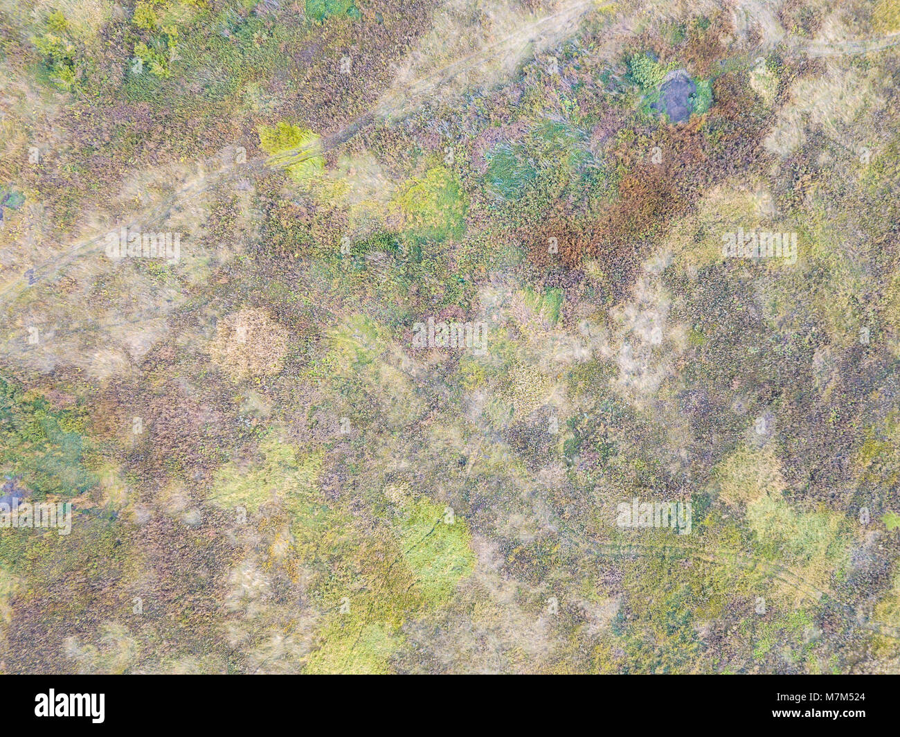 Aerial grass field hi-res stock photography and images - Alamy