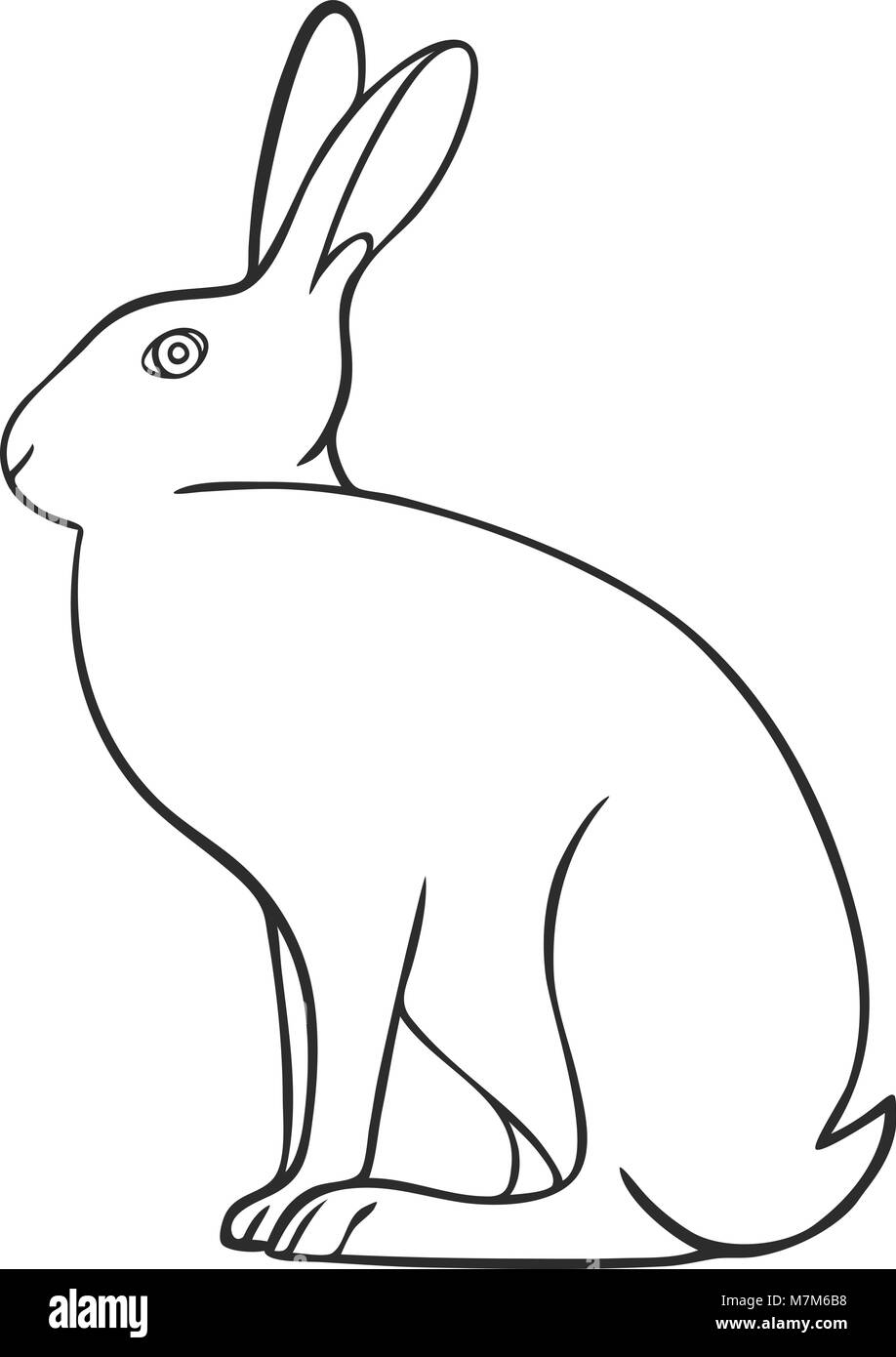 Hare line art hi-res stock photography and images - Alamy