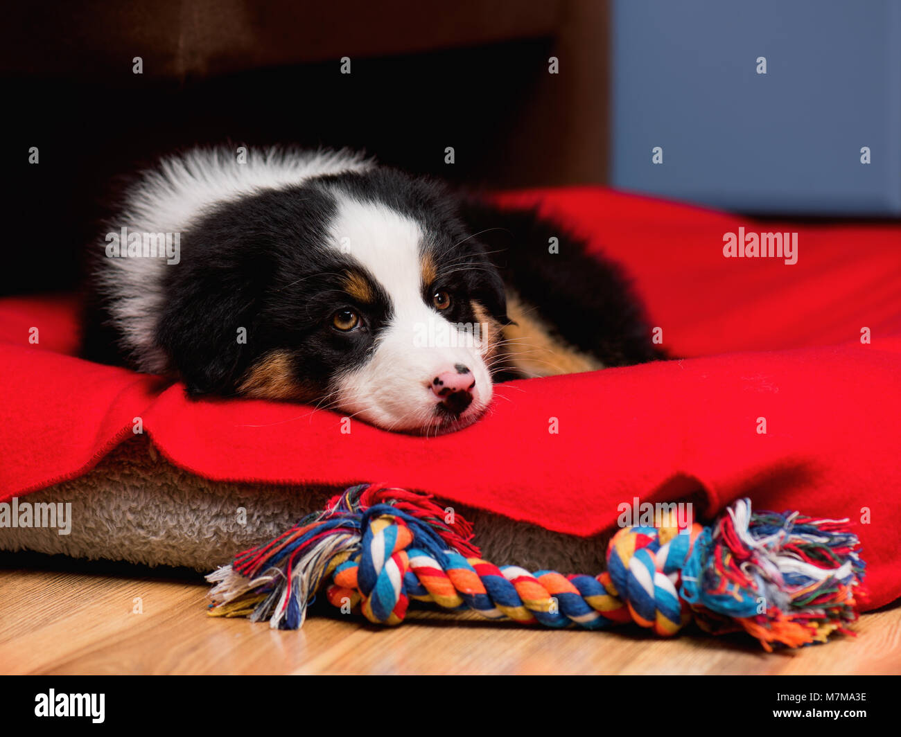 Lonely young australian hi-res stock photography and images - Alamy