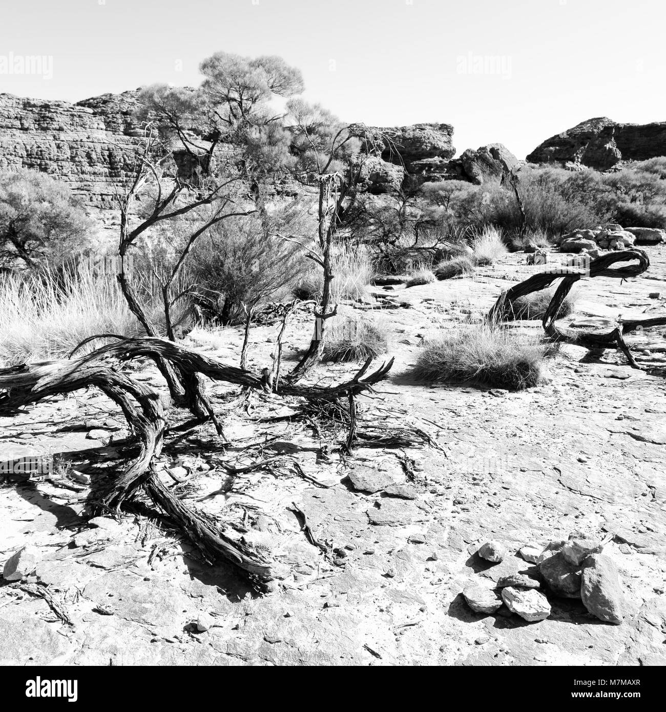 in australia the kings canyon nature wild and outback Stock Photo Alamy