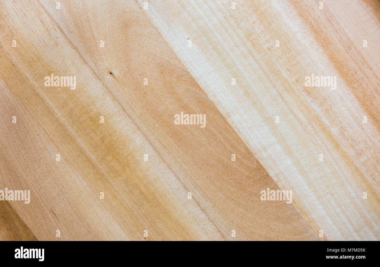 light linden Wood Texture - natural wooden board Stock Photo