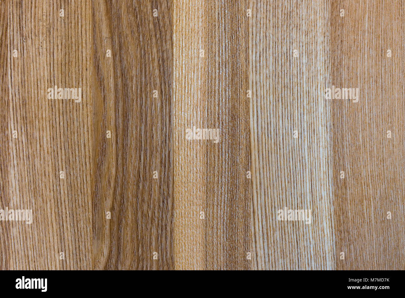 Ash Elm And Oak Trees informacionpublica.svet.gob.gt