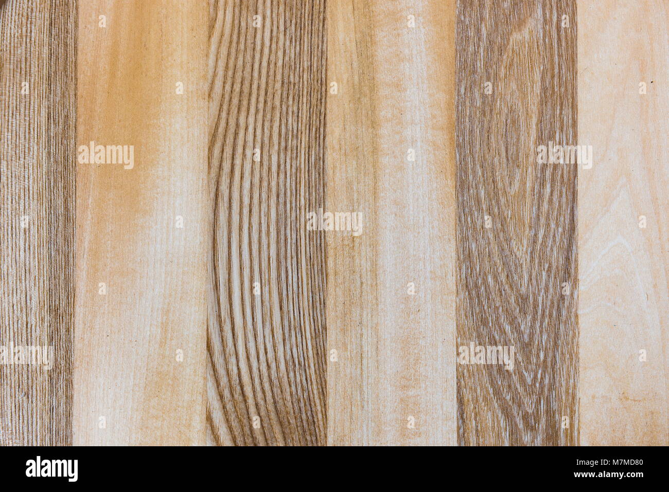 Linden and Ash wood texture A fragment of a wooden panel hardwood