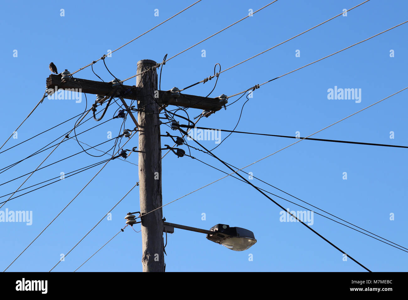 Power pole with power lines against blue sky Stock Photo - Alamy