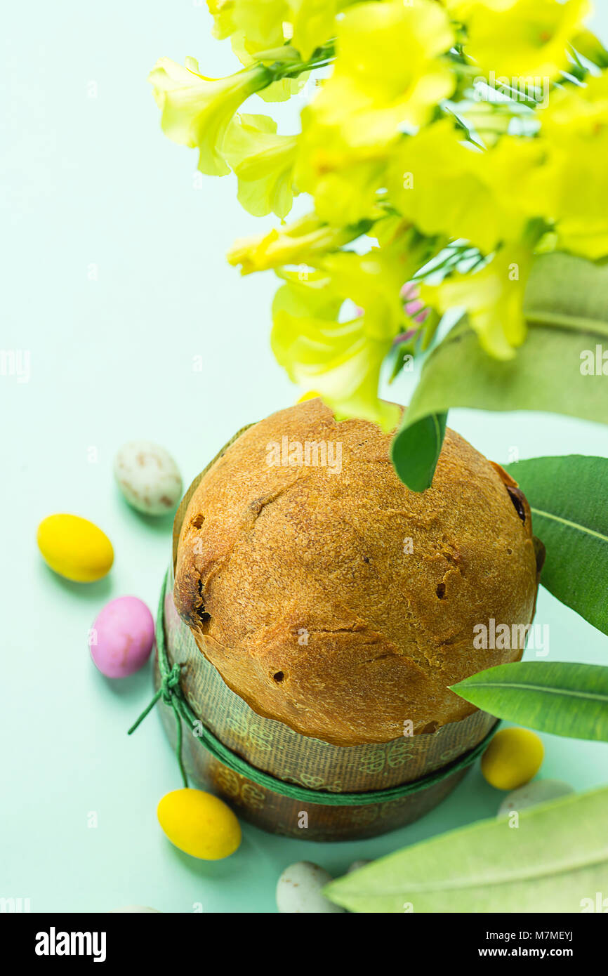 Homemade Easter Sweet Cake Panettone in Paper Form Multicolored Speckled Chocolate Candy Eggs Scattered on Turquoise Tabletop Spring Yellow Flowers. S Stock Photo