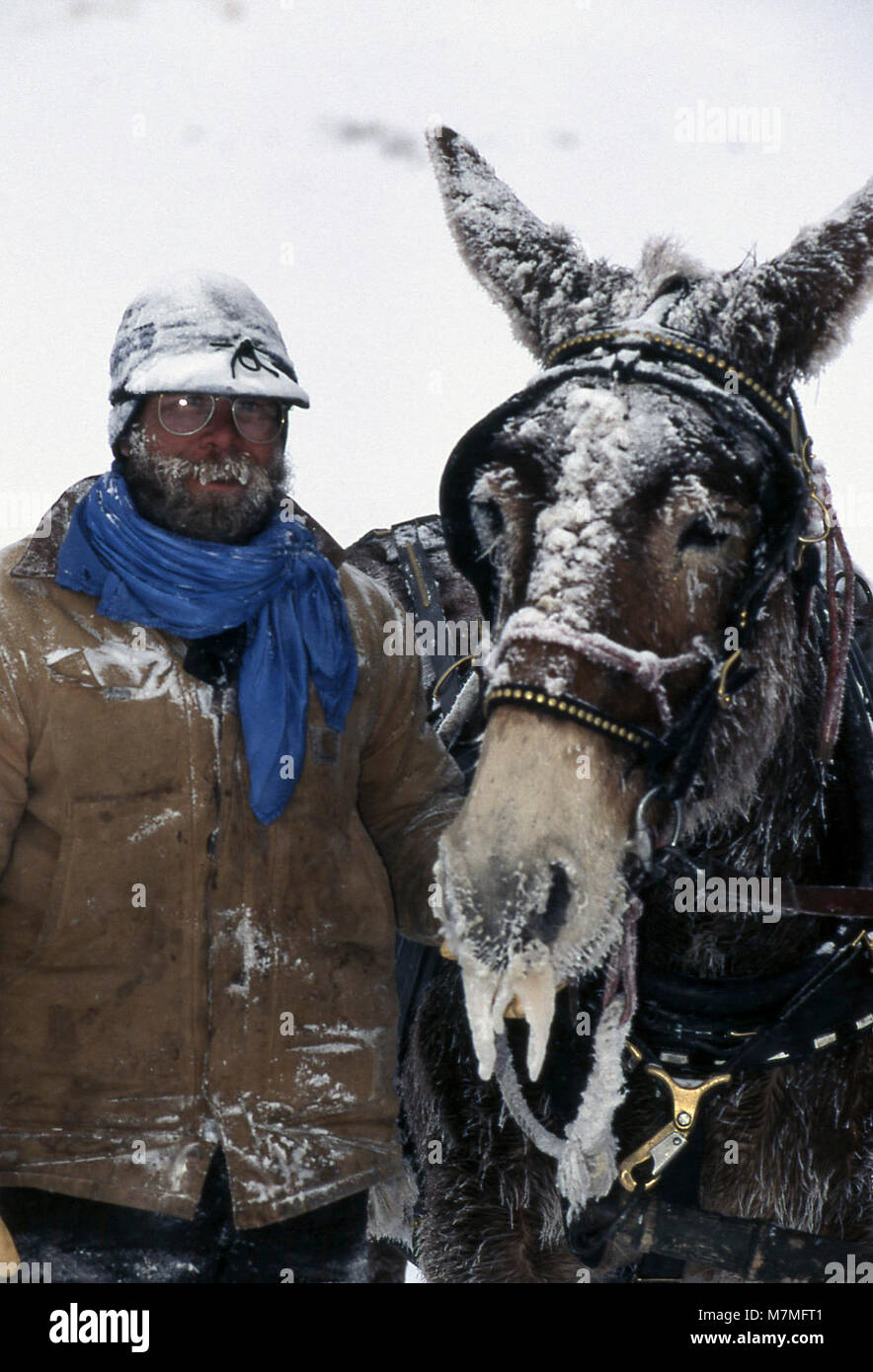 Wrangler, Ben Cunningham, and Billy, the mule, taking food to