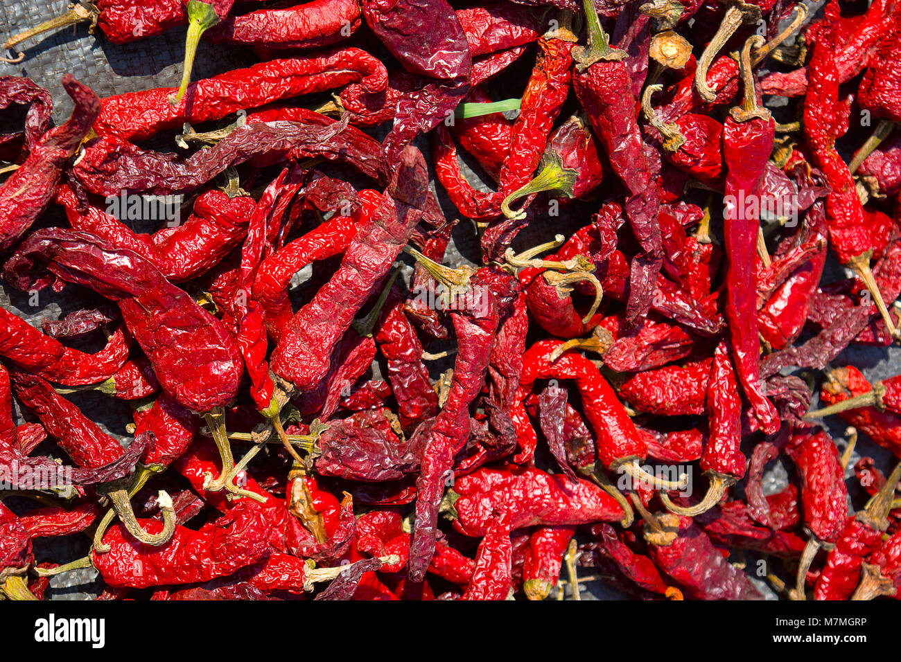 Byadgi chilli hires stock photography and images Alamy