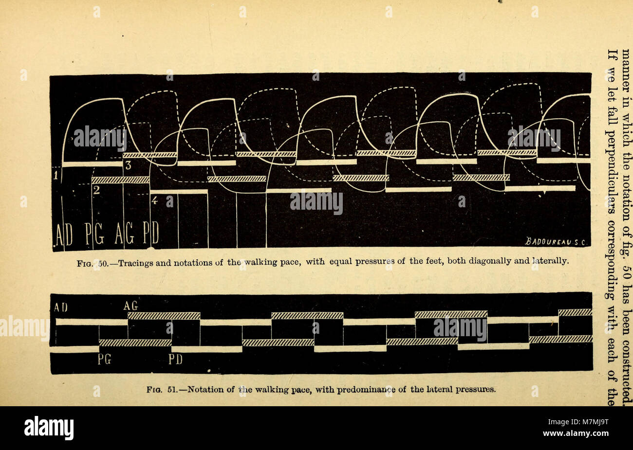Animal Mechanism (1874) is a scientific work analyzing the mechanics of ...