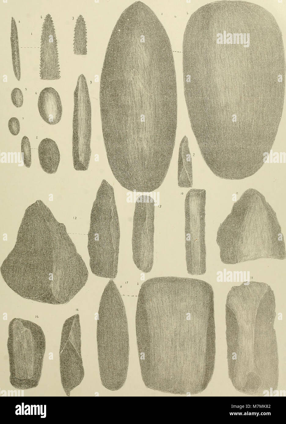 Annales de géologie et de paléontologie (1917) (18202499425) Stock Photo