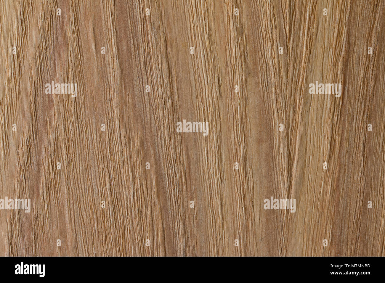 Wood texture. Surface of wood background for design Stock Photo