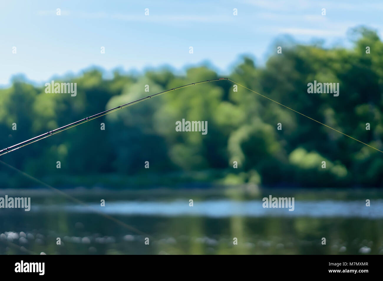 Fish Line Image Summer landscape with fishing line on the background of lake, opposite ...