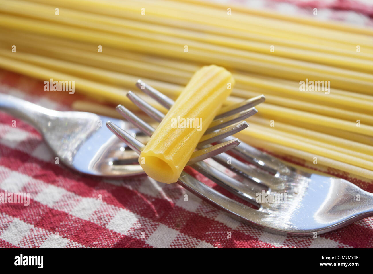 grain of raw riigatoni pasta put between two intertwined forks Stock Photo