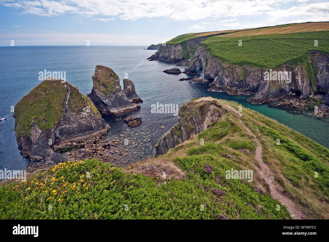 Ireland,landscape,galway connemara,cliffs of moher,cork Stock Photo