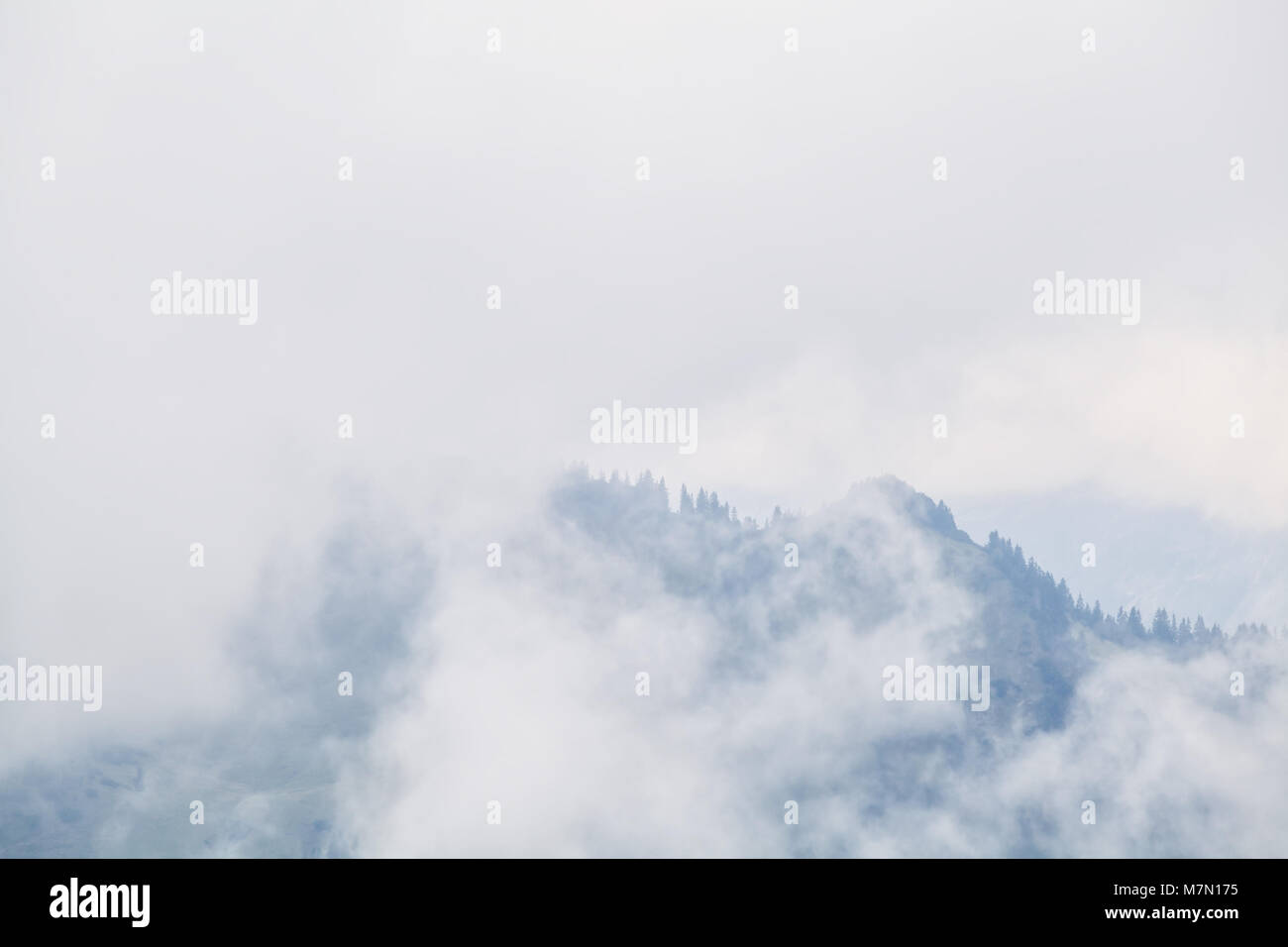 mountain peaks in dense morning fog Stock Photo - Alamy