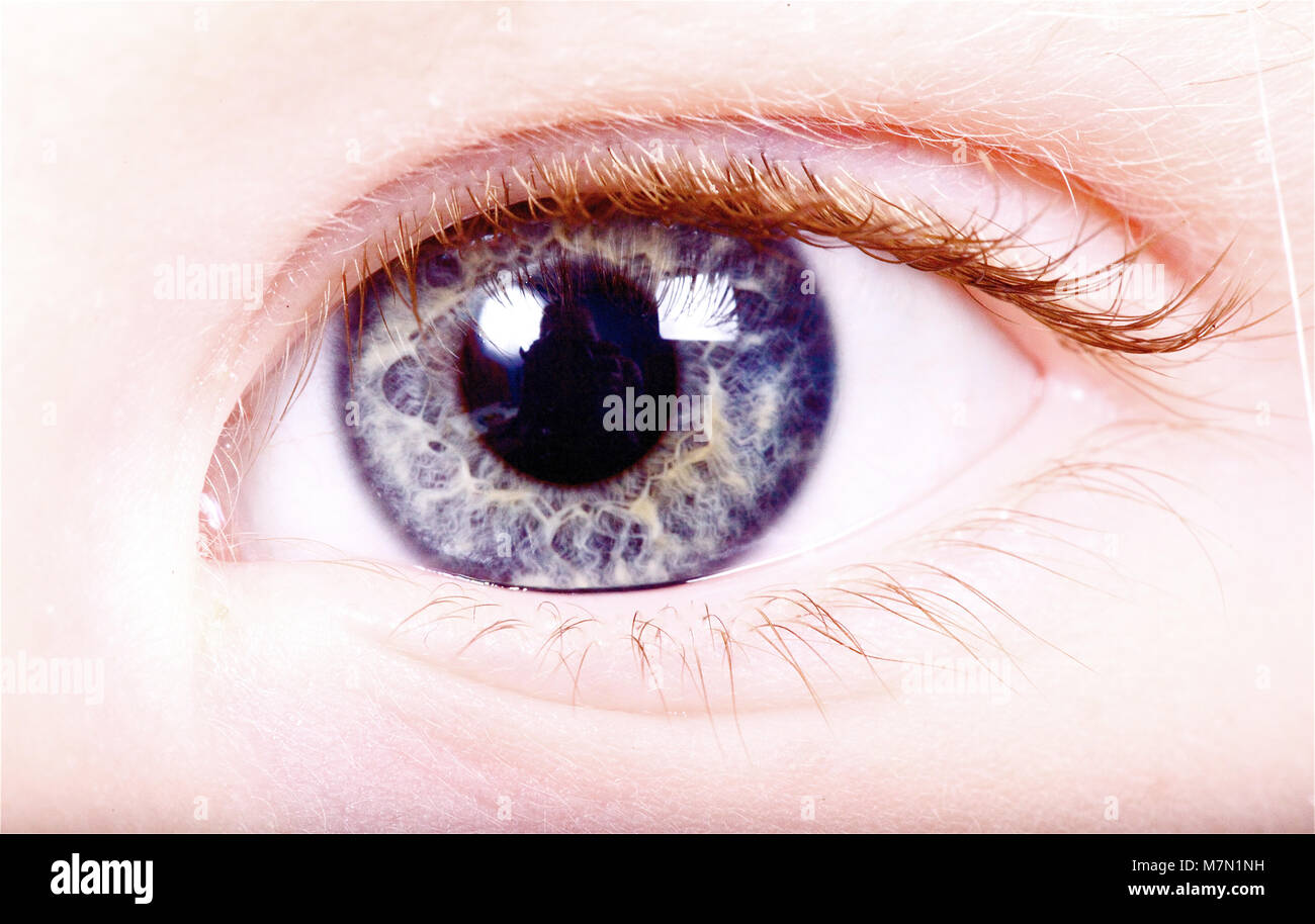 Best Eye Iris Royalty-Free Images, Stock Photos & Pictures