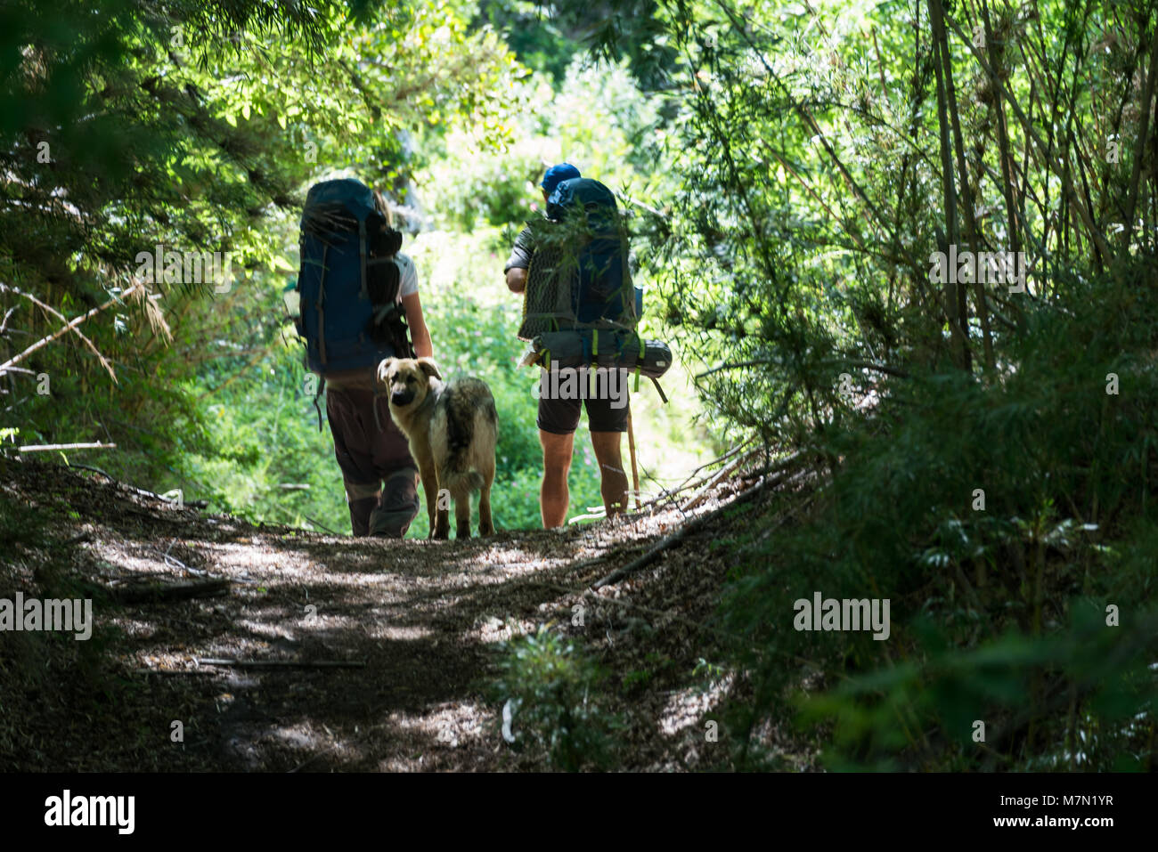 An active couple with their dog hiking in nature Stock Photo