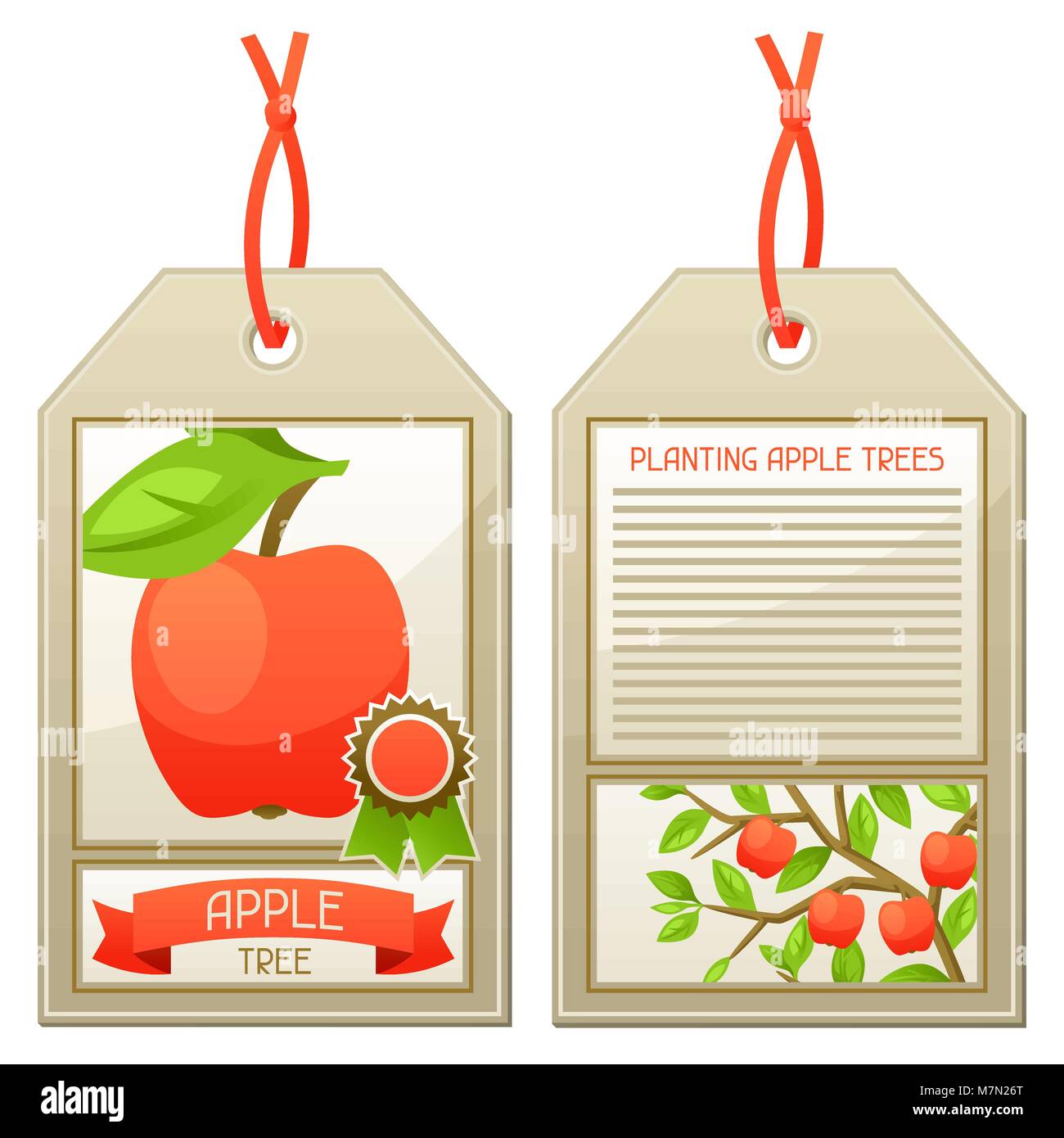Sale tag of seedlings apple trees. Instructions for planting tree Stock