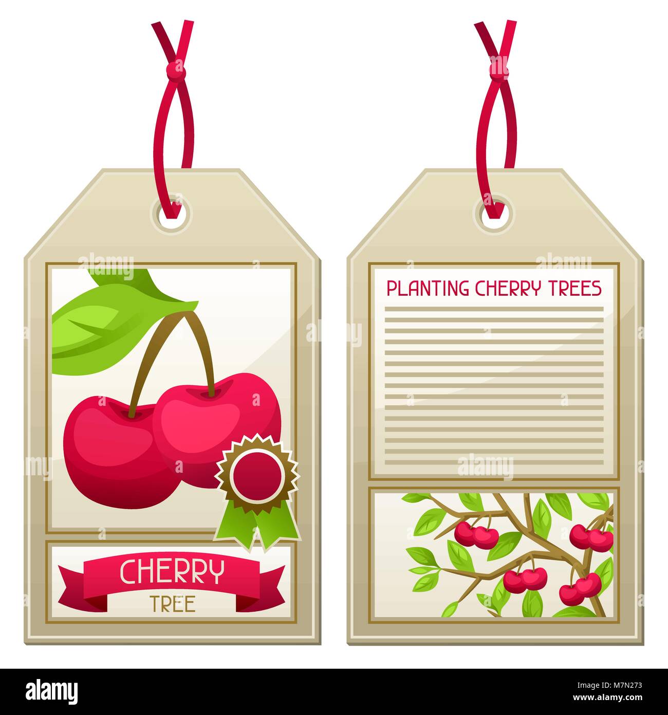 Sale tag of seedlings cherry trees. Instructions for planting tree Stock Vector