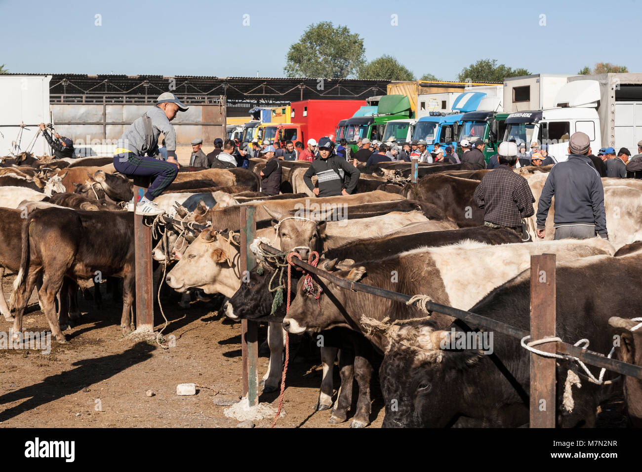Market in Karakol, Kyrgyzstan. Stock Photo