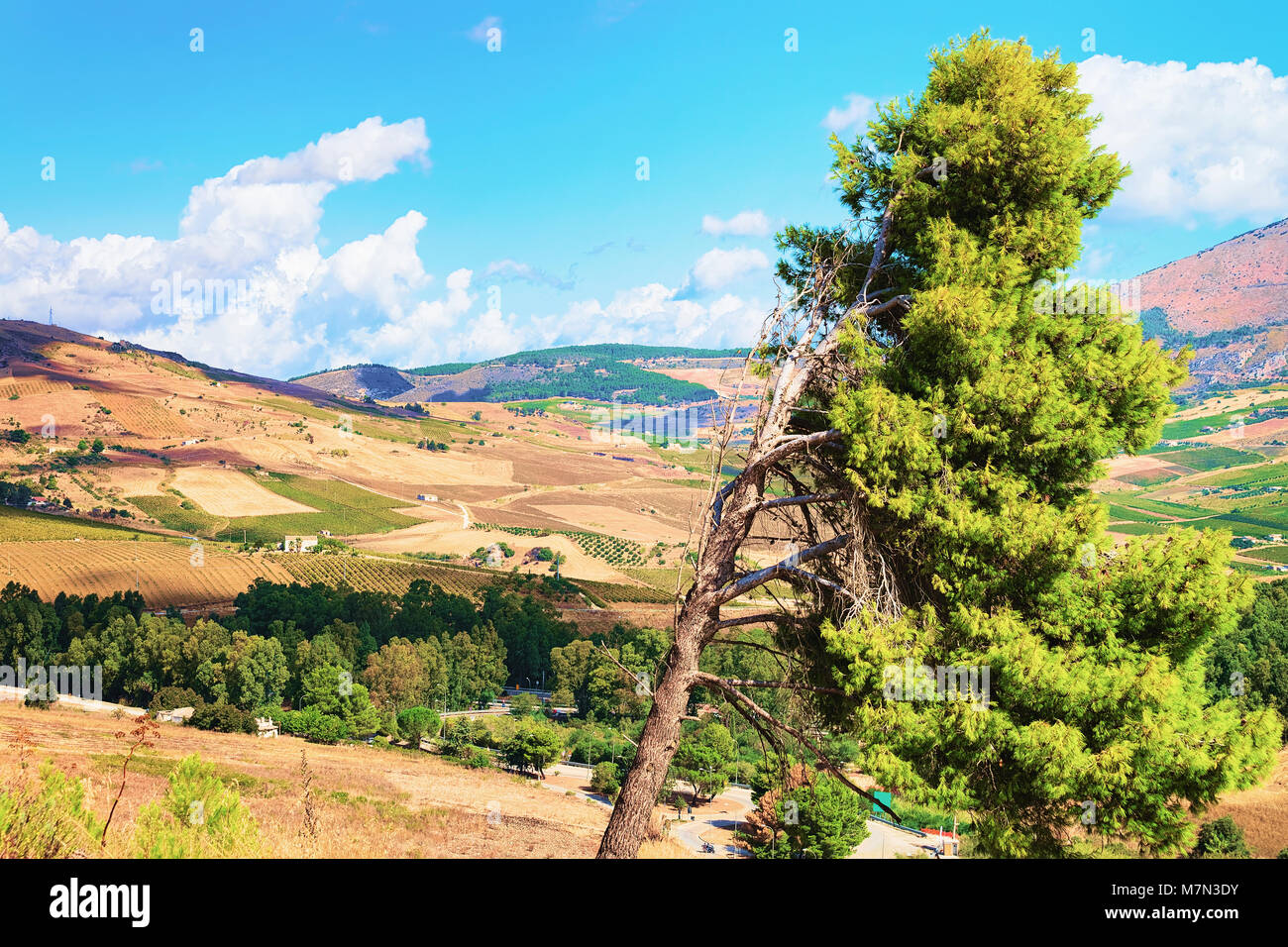 Landscape in Segesta, in Sicily, Italy Stock Photo