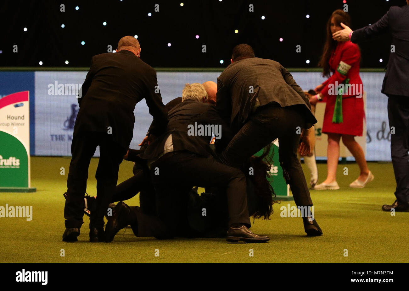 An intruder is wrestled to the ground after Tease, the Whippet, was named Supreme Champion during the final day of Crufts 2018 at the NEC in Birmingham. Stock Photo