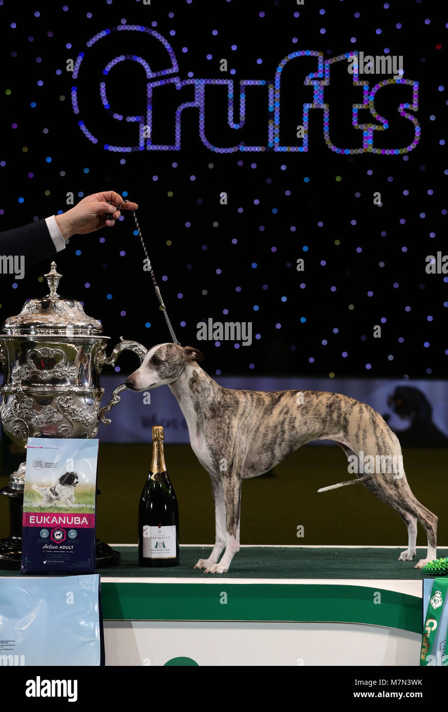 Tease, the Whippet, after she was named Supreme Champion during the final  day of Crufts 2018 at the NEC in Birmingham Stock Photo - Alamy