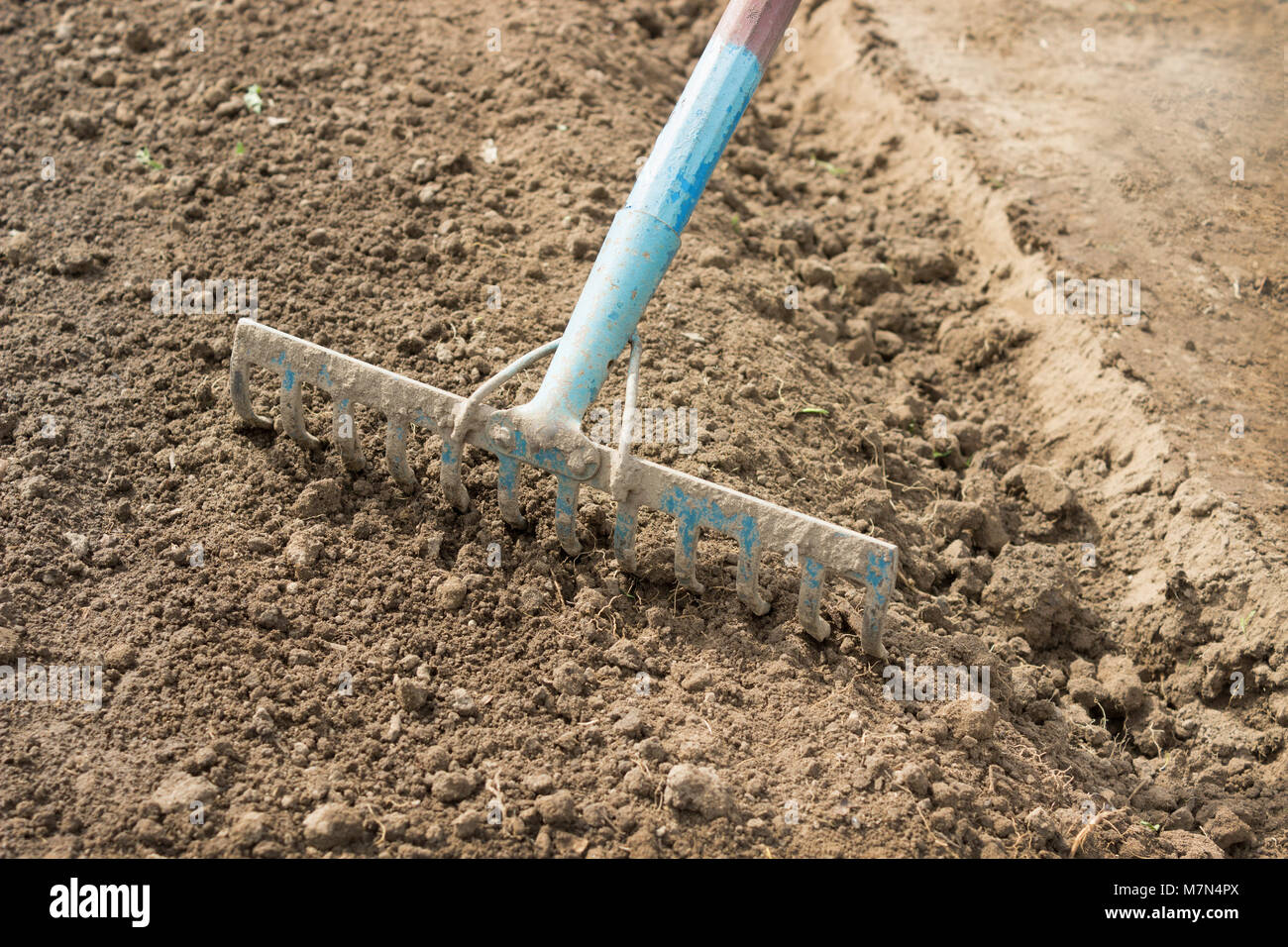 Tillage rake hi-res stock photography and images - Alamy