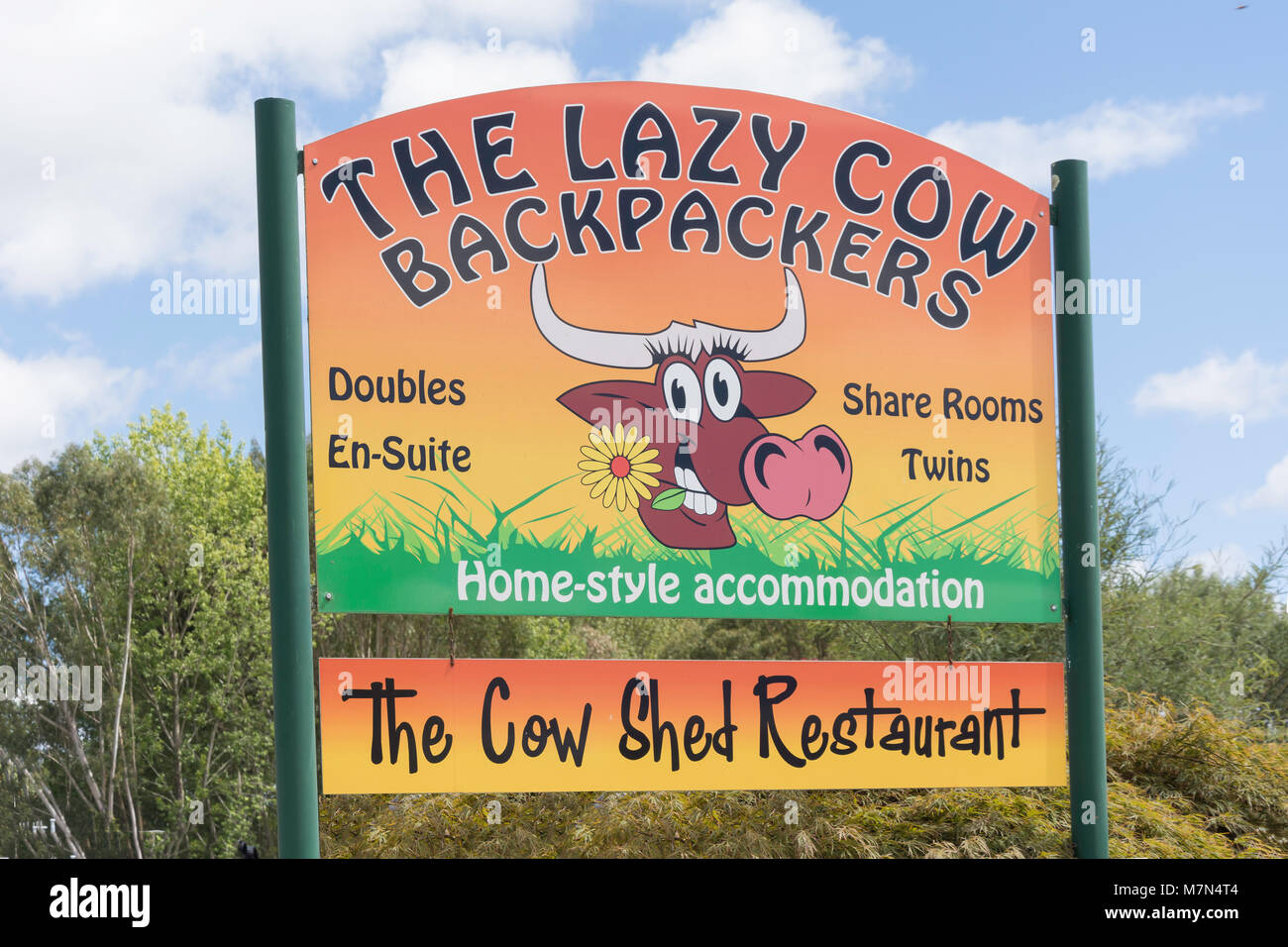 The Lazy Cow Backpackers and Cow Shed Restaurant sign, Waller Street (State Highway 6), Murchison, Tasman Region, New Zealand Stock Photo