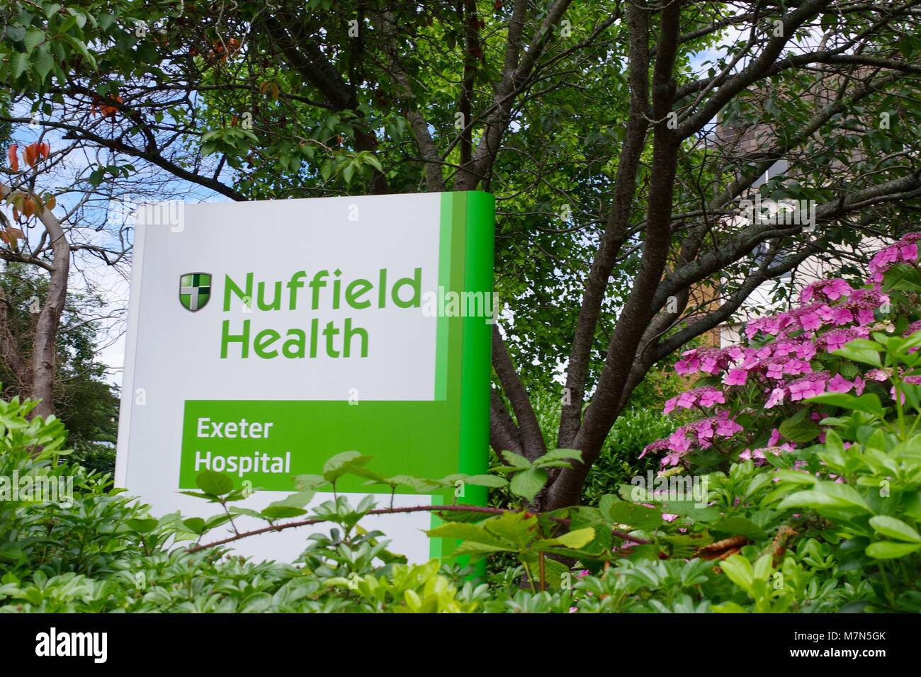Exeter nuffield hires stock photography and images Alamy