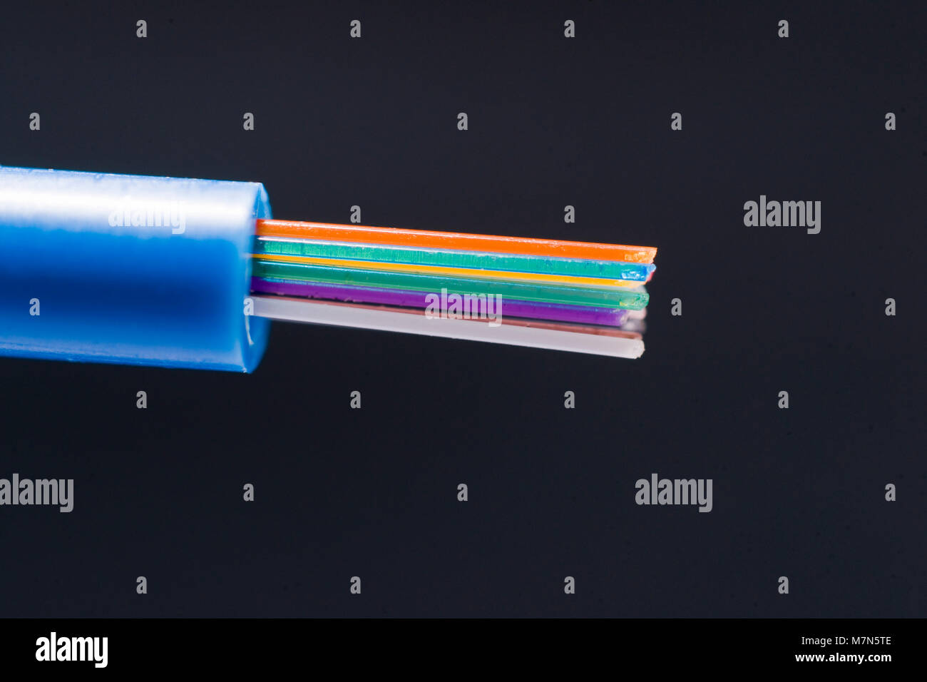 Color coded 250 micron optical fibers sticking out of 3 mm buffer tube Stock Photo