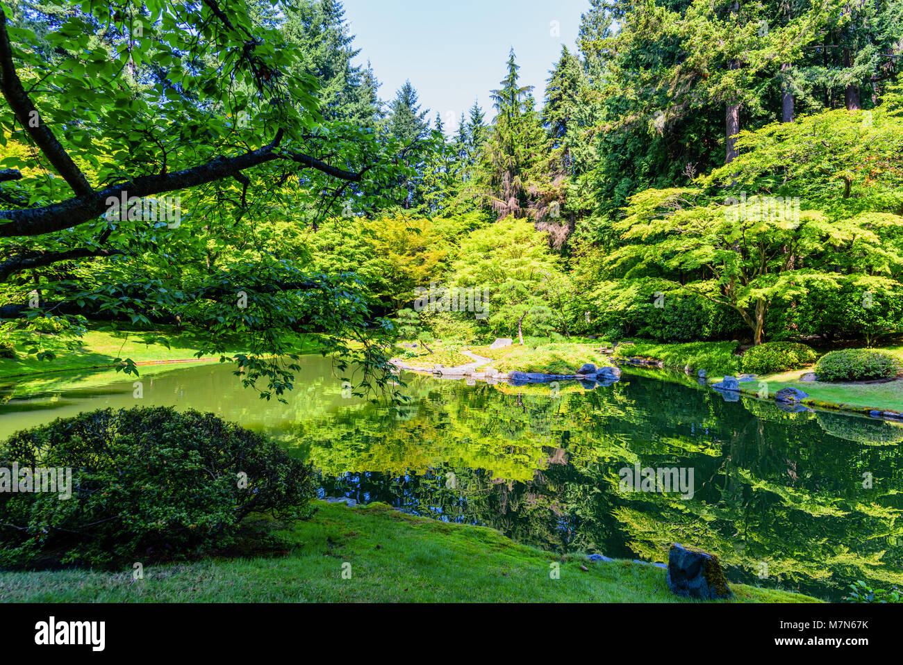 mirror-like surface of a lake in a park with reflection of trees and ...