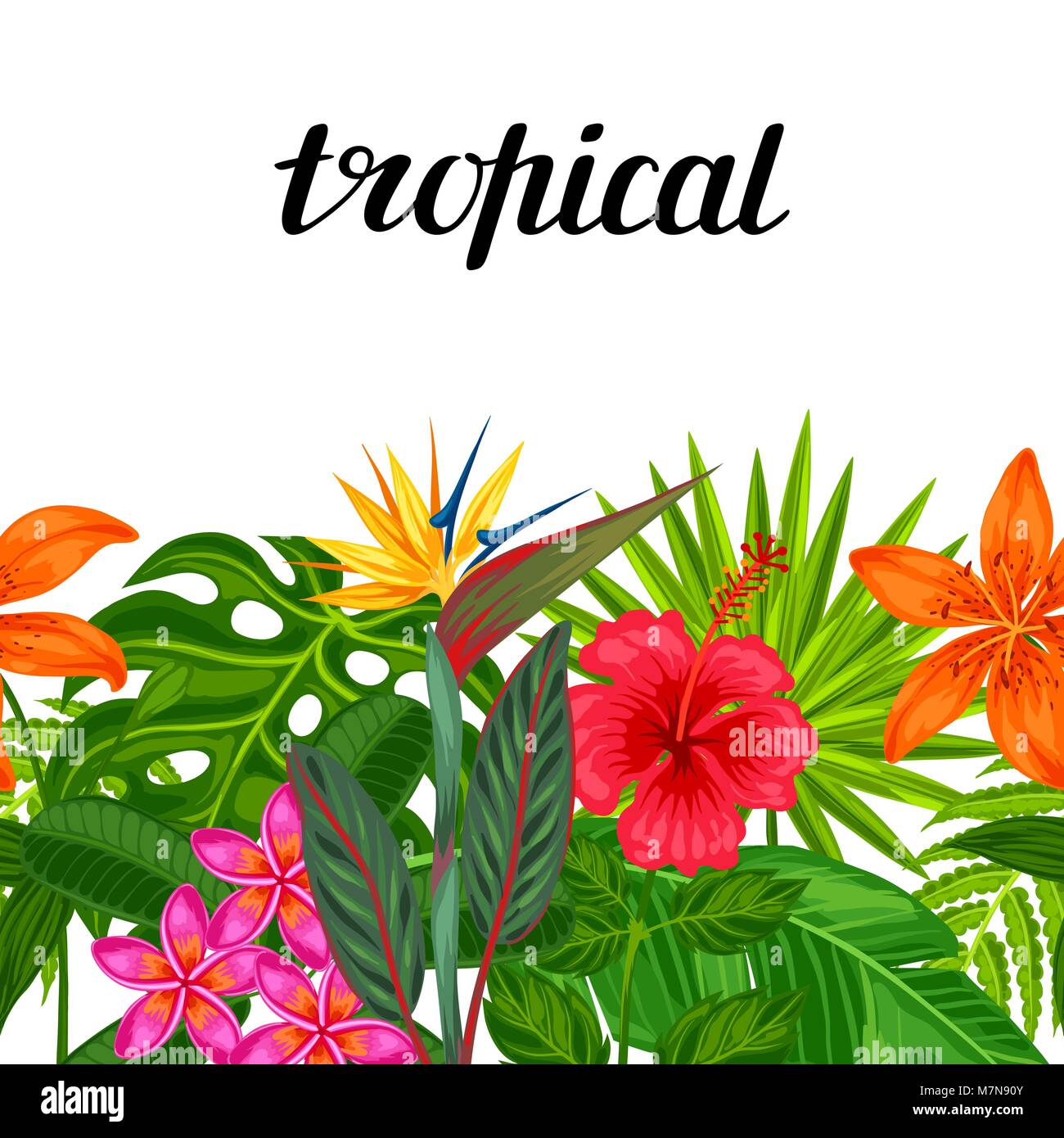 Seamless horizontal border with tropical plants, leaves and flowers ...