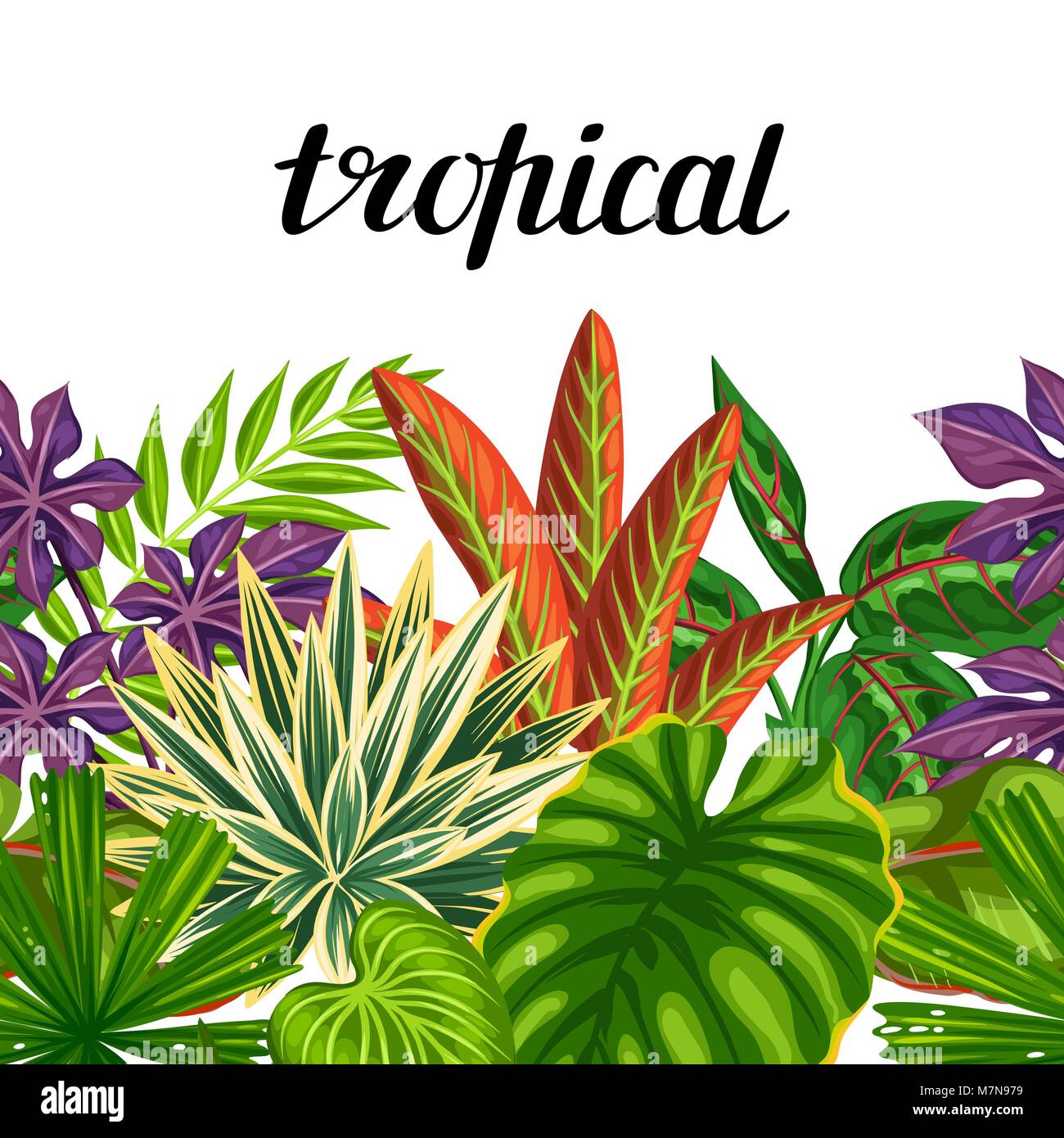 Seamless horizontal border with tropical plants and leaves. Background ...
