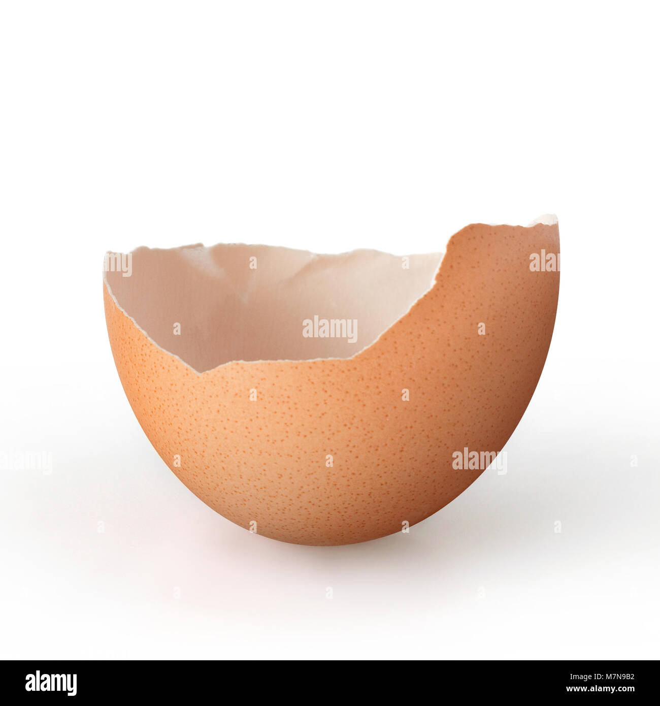 Cracked eggshell isolated over a white background. Stock Photo