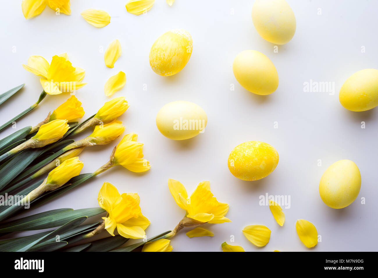 Spring flat lay composition hi-res stock photography and images - Alamy