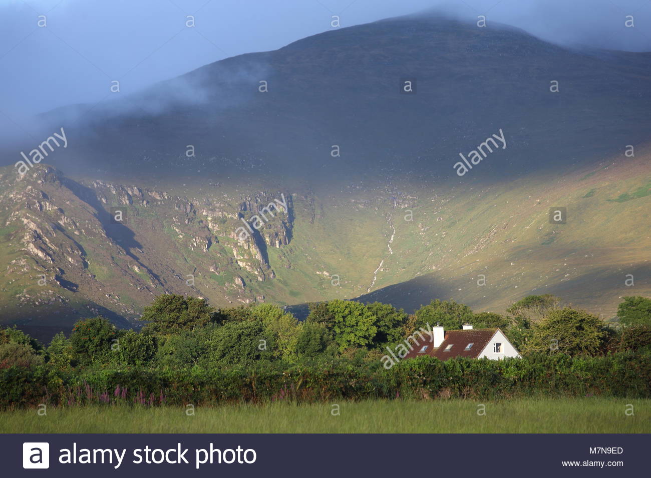 Beautiful morning light moves across a sleepy section of the Dingle