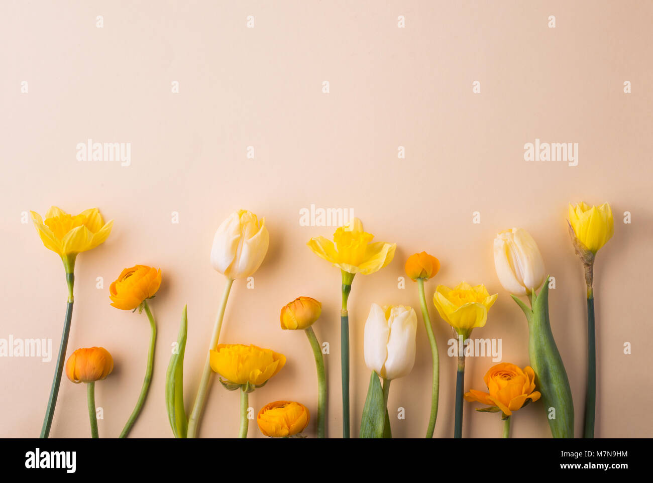 Easter and spring flat lay on a cream background Stock Photo - Alamy