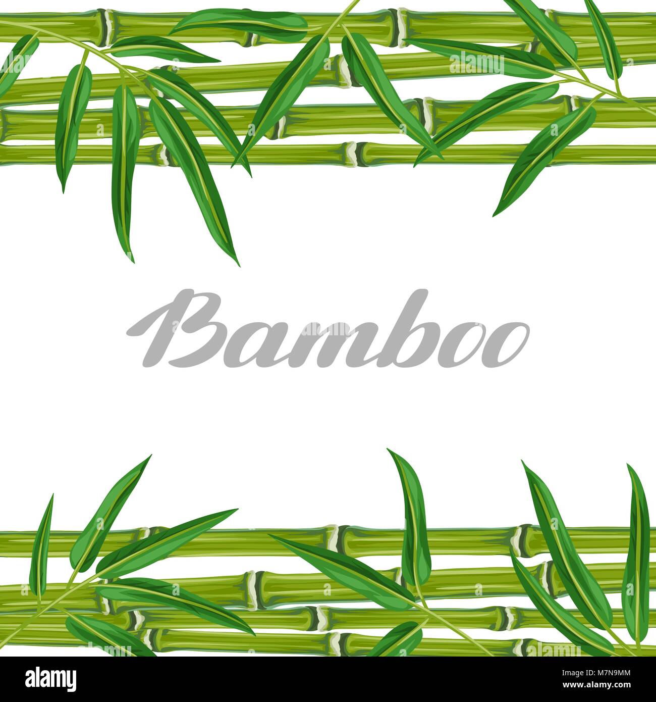 Background with bamboo plants and leaves. Image for holiday invitations, greeting cards, posters, advertising booklets, banners, flayers Stock Vector