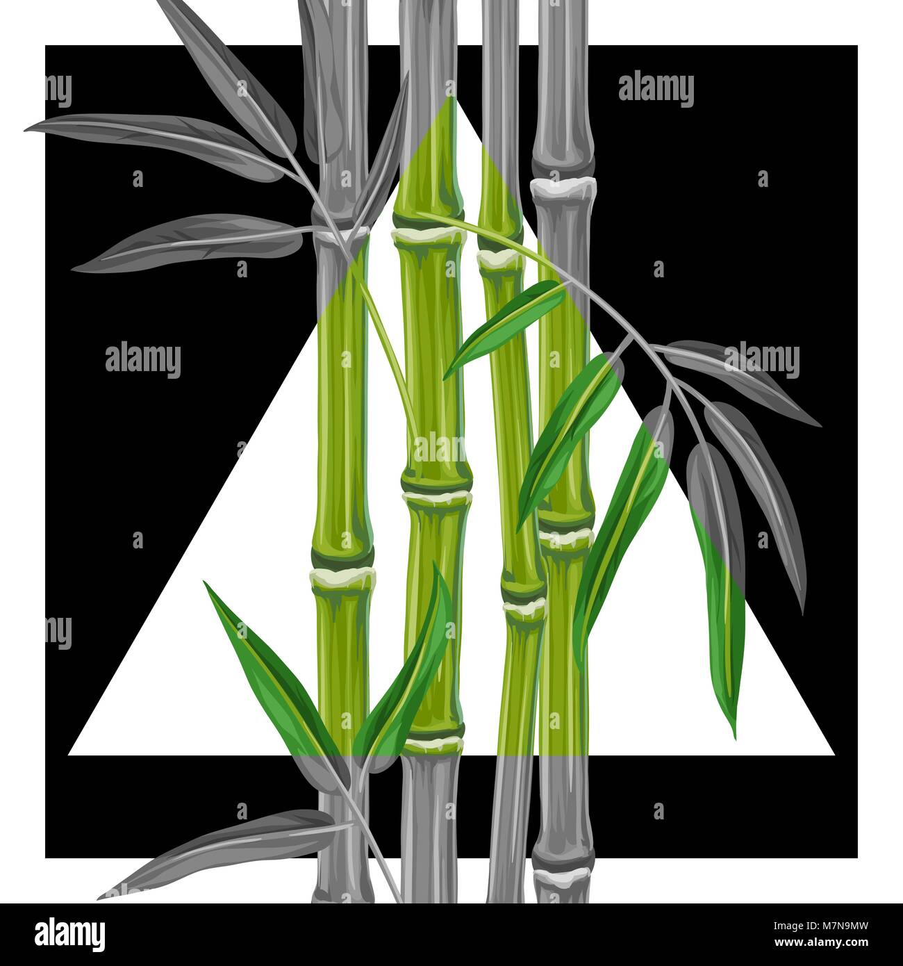 Poster with bamboo plants and leaves. Image for holiday invitations, greeting cards, posters, advertising booklets, banners, flayers Stock Vector
