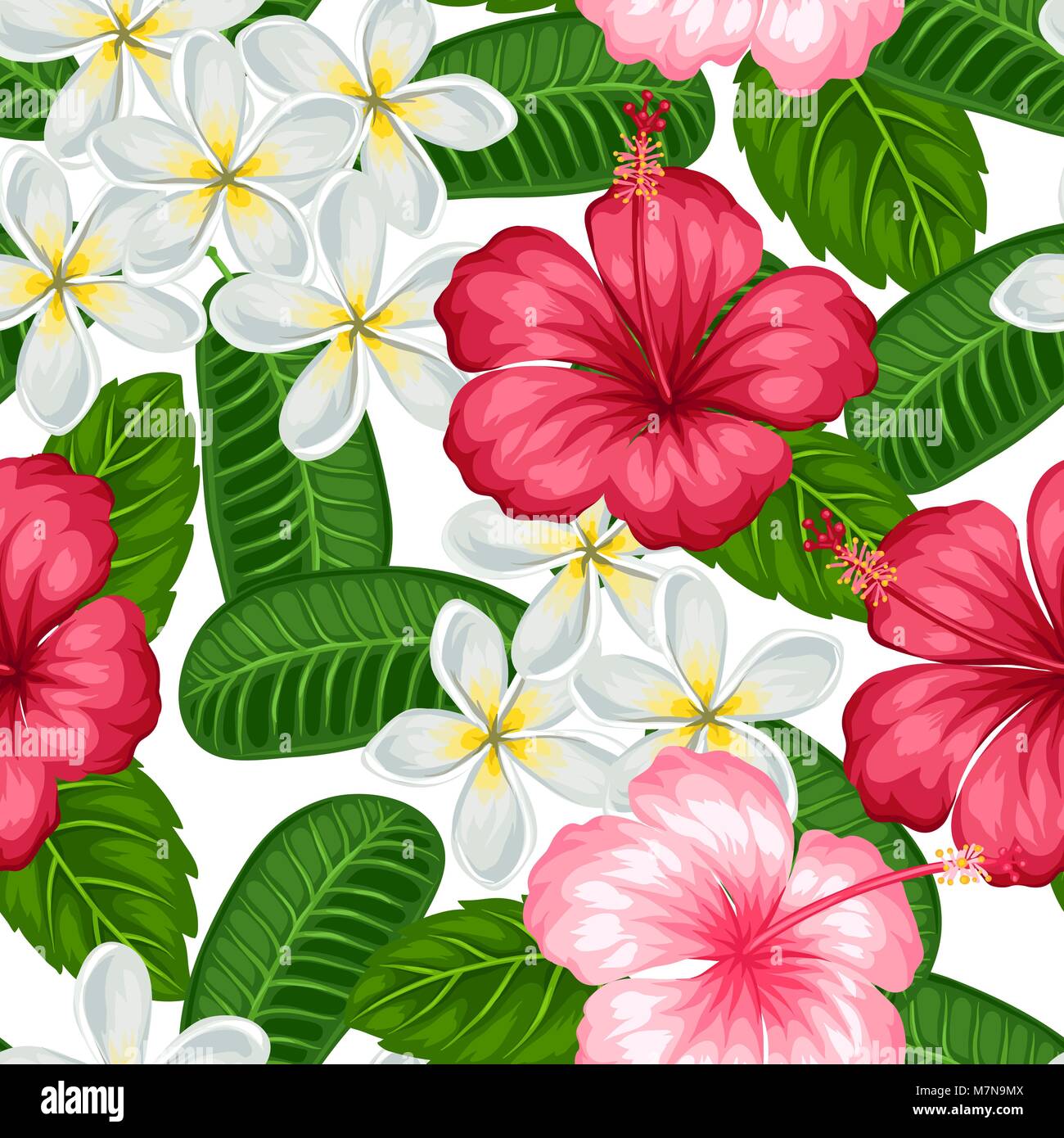 Seamless pattern with tropical flowers hibiscus and plumeria ...