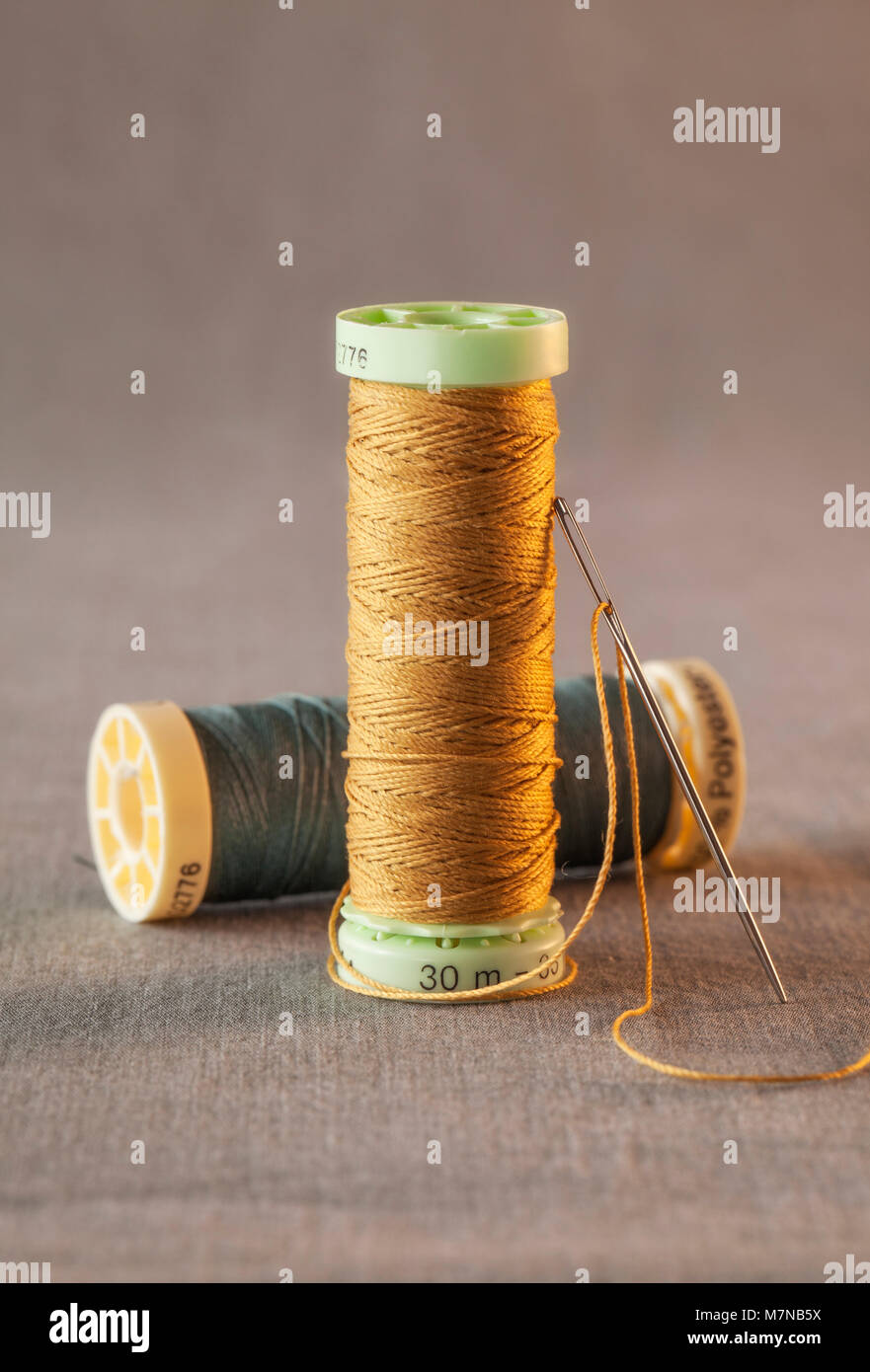 Colorful threads with sewing needle Stock Photo