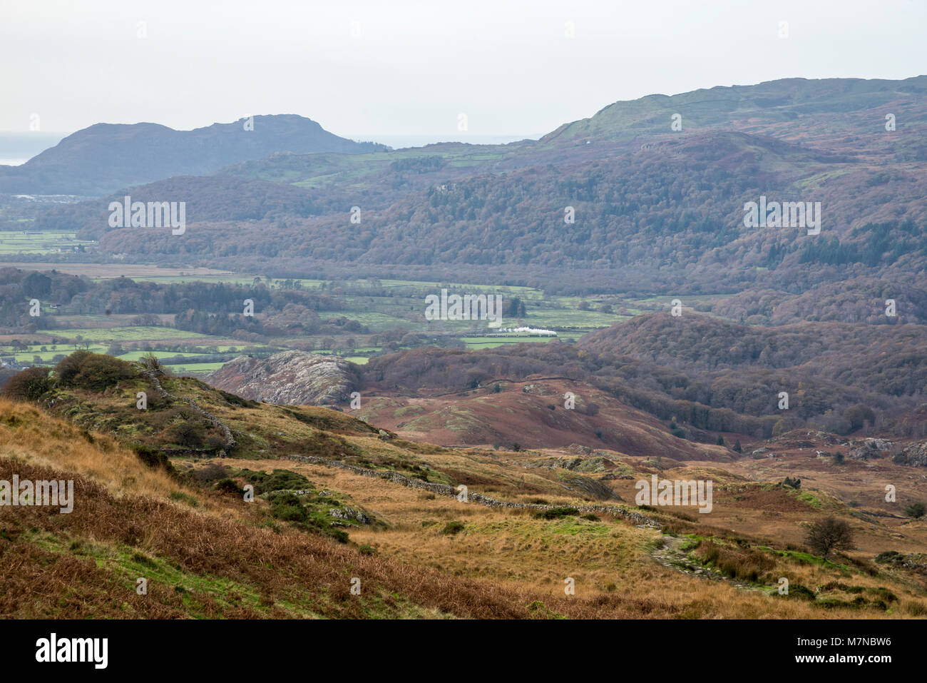 Autumnal scenery in Snowdonia national park, North Wales. Steam train seen in the valley below hills near Croesor. Stock Photo
