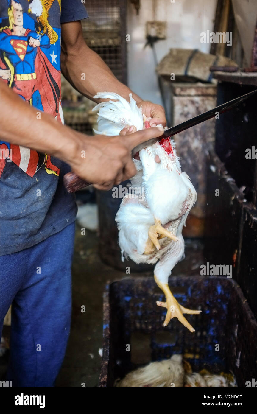MUMBAI, INDIA - JANUARY 2015: Street salesman slaughtering chicken at meat stand. Stock Photo