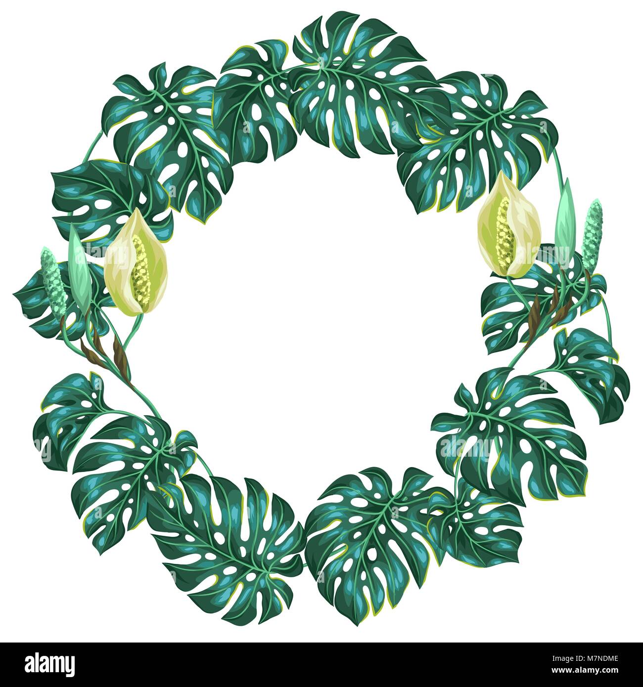 Frame with monstera leaves. Decorative image of tropical foliage and