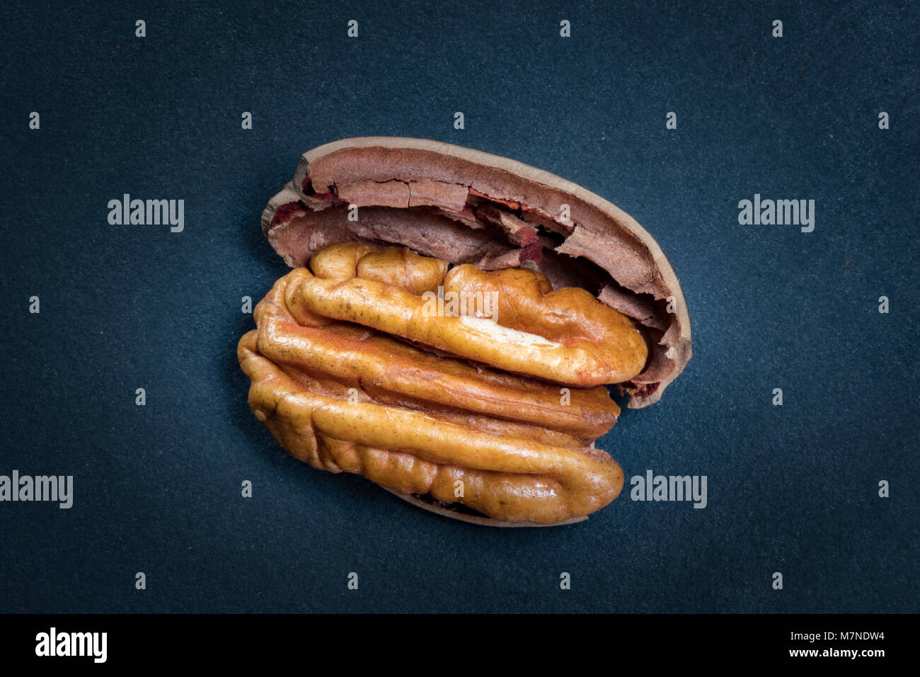 Pecan and Part of Shell on black slate background Stock Photo - Alamy