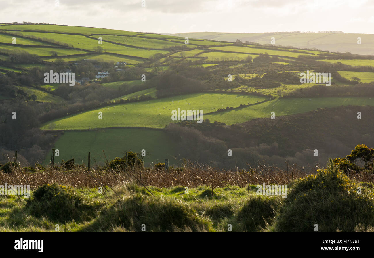 Farmland and fields on Exmoor near Lynton, Devon, England Stock Photo