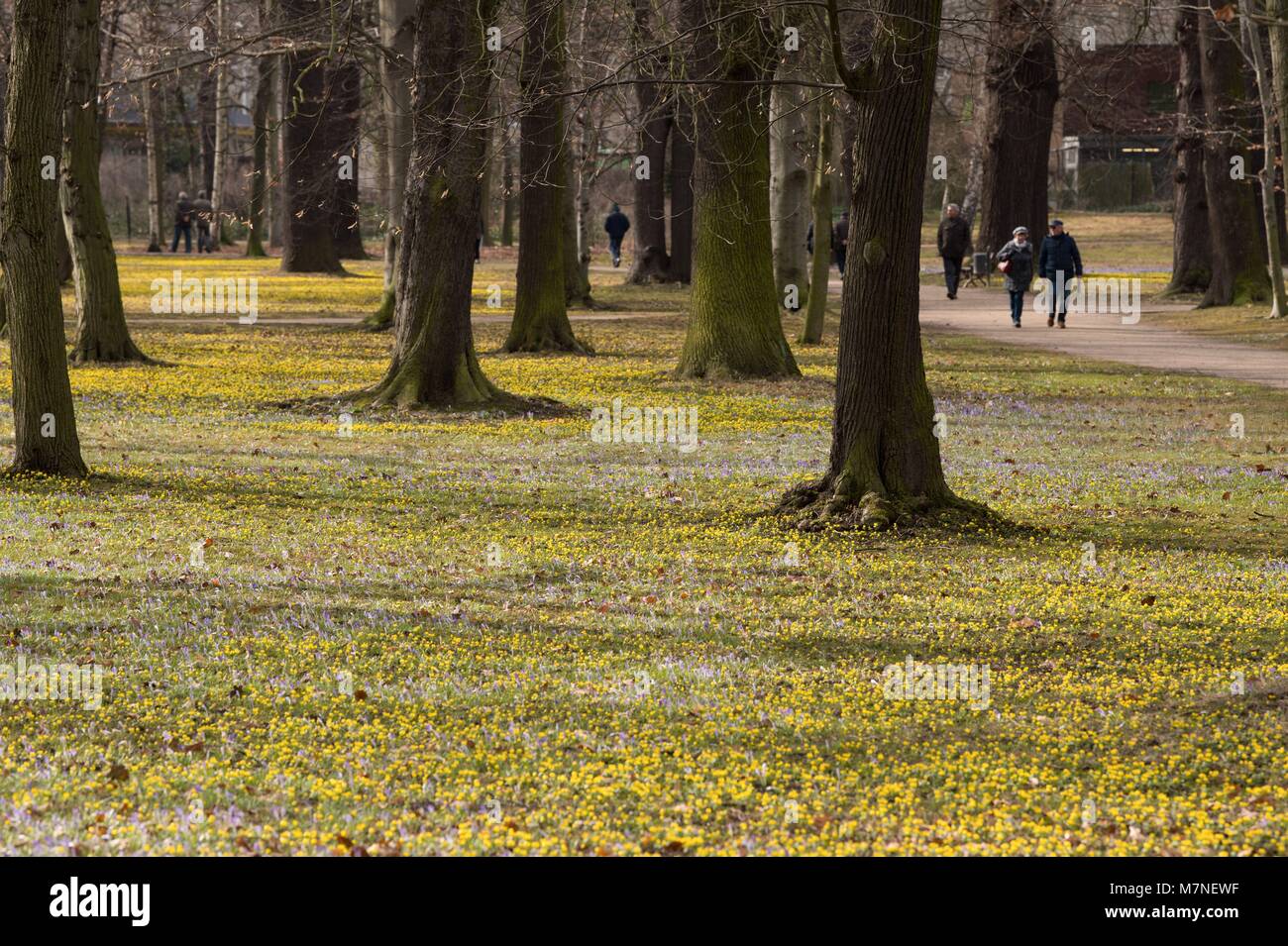 Grosser Garten Dresden Stock Photos Grosser Garten Dresden Stock