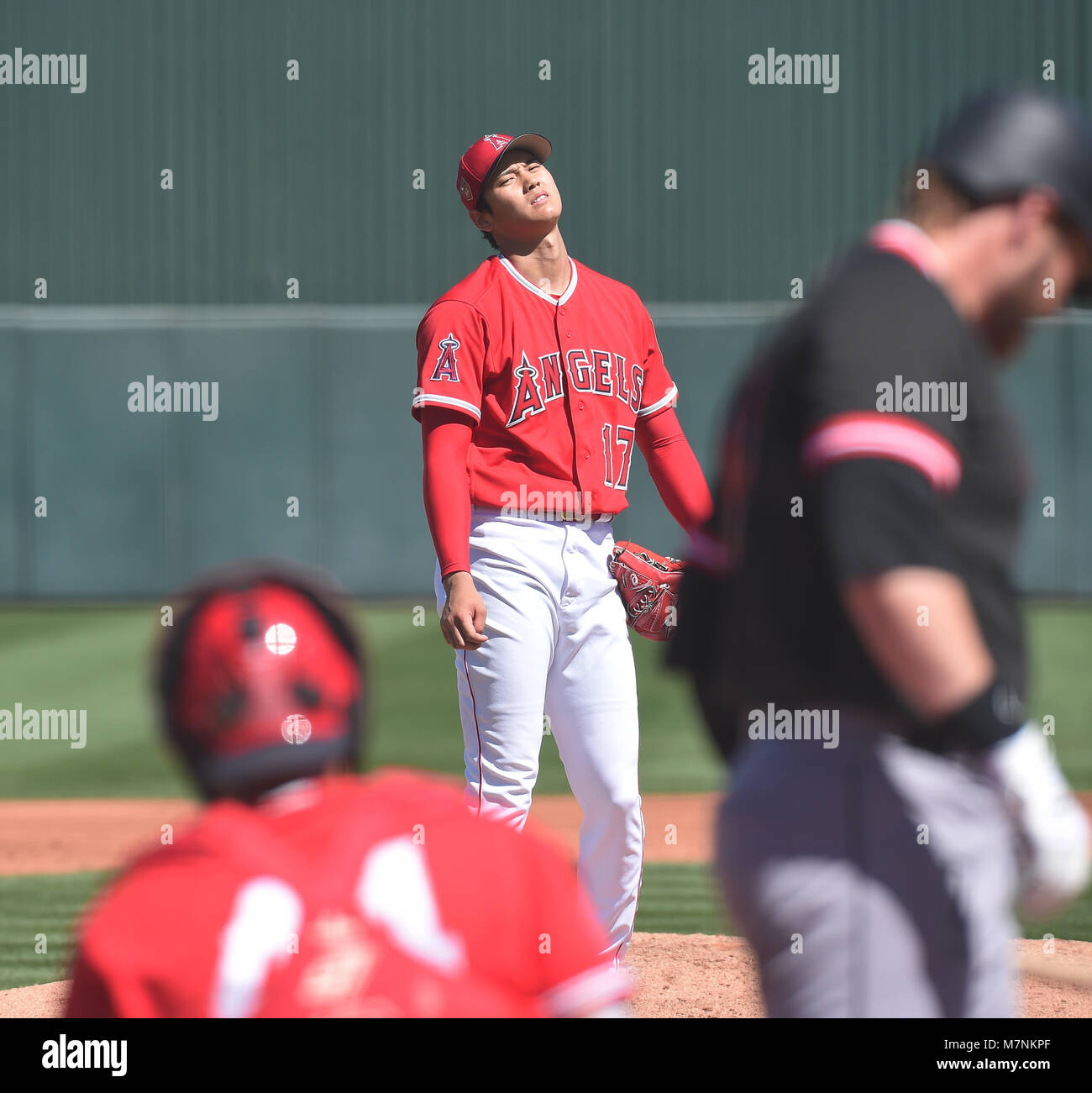 Shohei Ohtani Projects  Photos, videos, logos, illustrations and